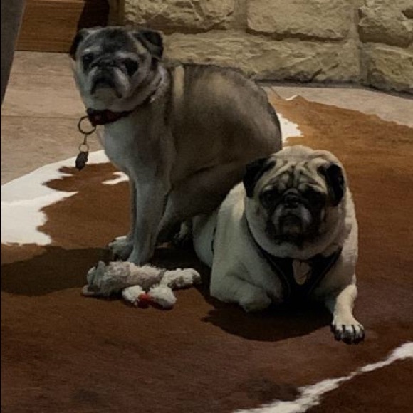 Meet your Posher, Rhonda - Picture 16 of 16